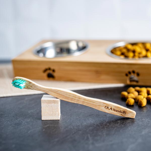 Brosse à dents en bambou pour animaux (1.20 $ remis à la cause choisie)