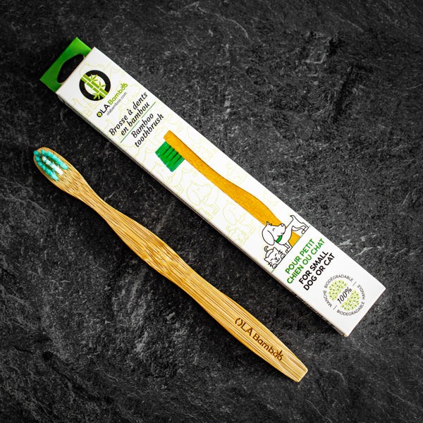Brosse à dents en bambou pour animaux (1.20 $ remis à la cause choisie)