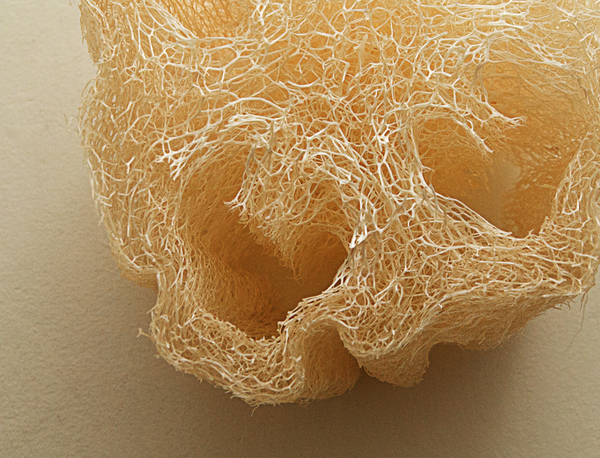 Éponge naturelle exfoliante Luffa (1.80 $ remis à la cause choisie)